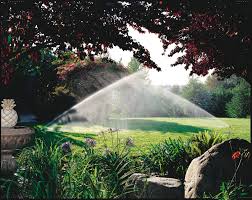 Turf & Landscape Irrigation